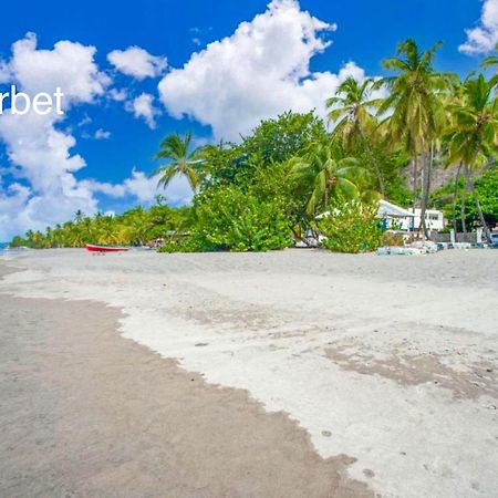 Lodge Pamplemousse Avec Piscine Privative , Dans Parc Calme A 500 M Plage ル・カルベ エクステリア 写真