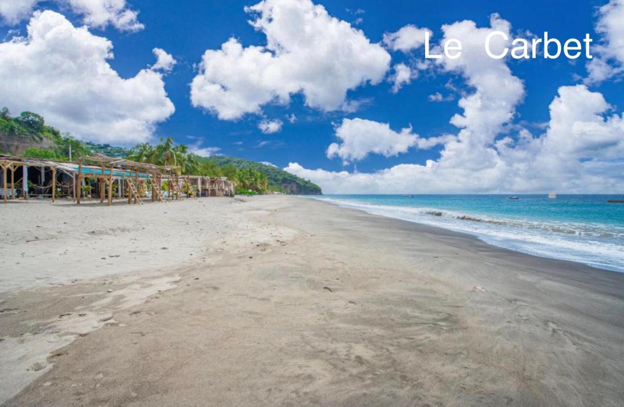 Lodge Pamplemousse Avec Piscine Privative , Dans Parc Calme A 500 M Plage ル・カルベ エクステリア 写真