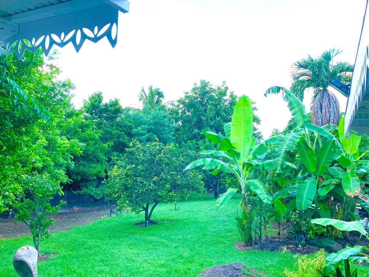 Lodge Pamplemousse Avec Piscine Privative , Dans Parc Calme A 500 M Plage ル・カルベ エクステリア 写真