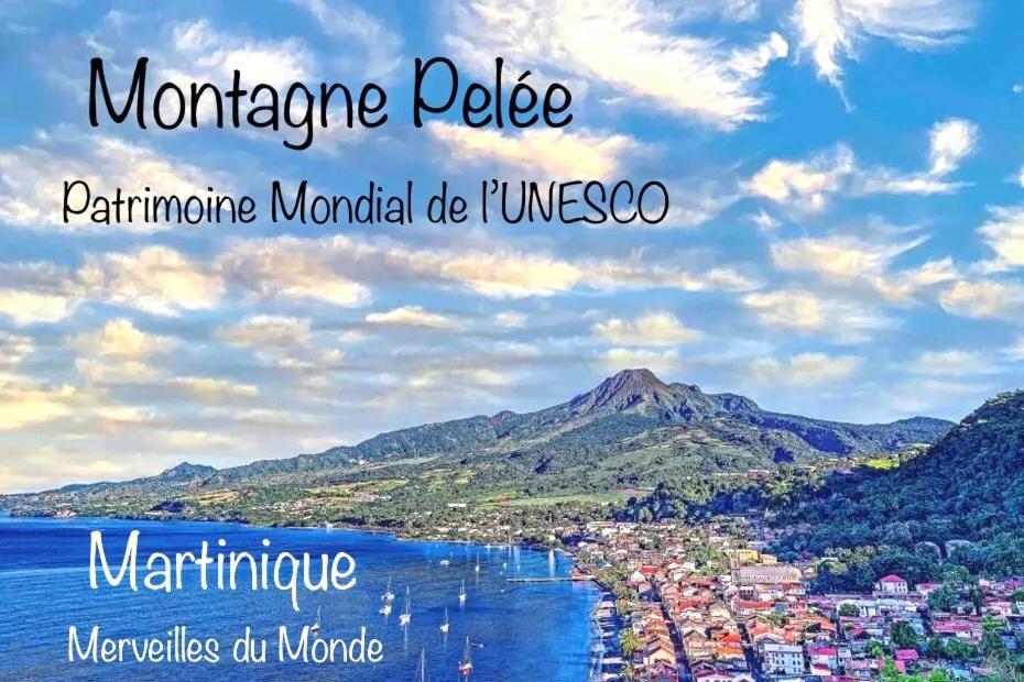 Lodge Pamplemousse Avec Piscine Privative , Dans Parc Calme A 500 M Plage ル・カルベ エクステリア 写真